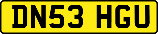 DN53HGU