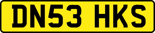 DN53HKS