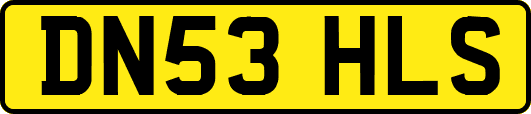 DN53HLS