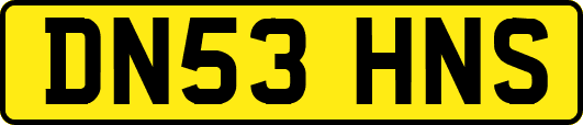 DN53HNS