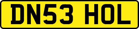 DN53HOL