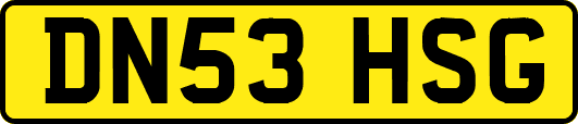 DN53HSG