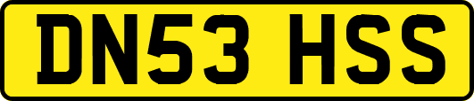 DN53HSS