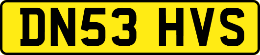 DN53HVS
