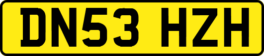 DN53HZH