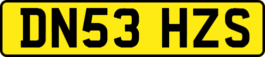 DN53HZS