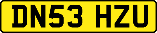 DN53HZU