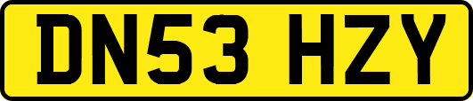 DN53HZY