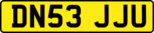 DN53JJU