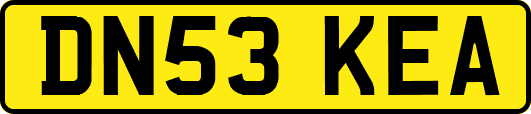DN53KEA
