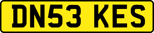 DN53KES