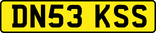 DN53KSS