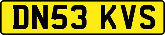 DN53KVS