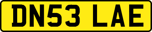 DN53LAE