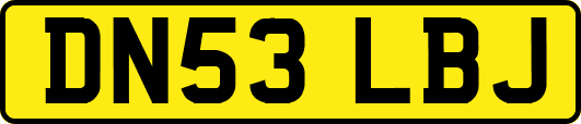 DN53LBJ