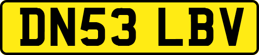 DN53LBV
