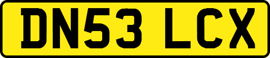 DN53LCX