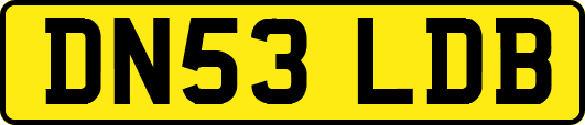 DN53LDB