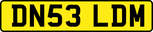 DN53LDM