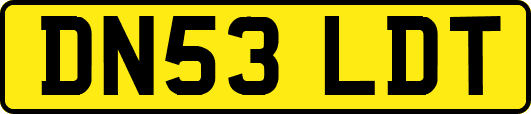 DN53LDT