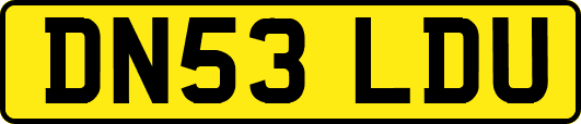 DN53LDU