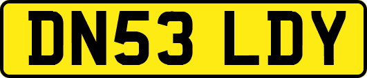 DN53LDY