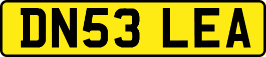 DN53LEA