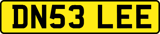 DN53LEE