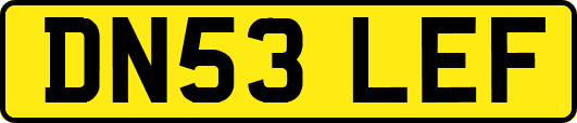 DN53LEF