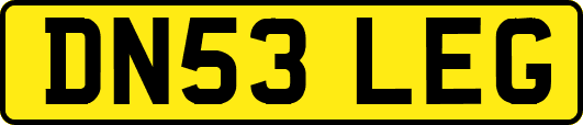 DN53LEG
