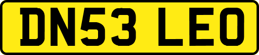 DN53LEO