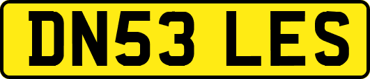 DN53LES