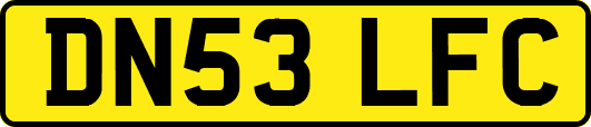 DN53LFC