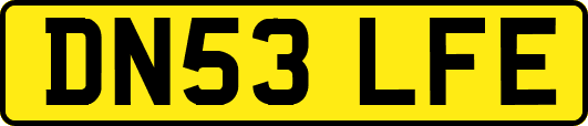 DN53LFE