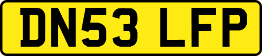 DN53LFP