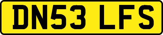 DN53LFS
