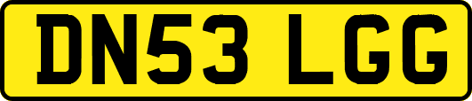 DN53LGG