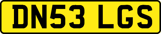 DN53LGS