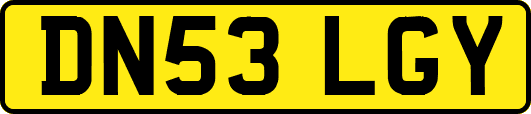 DN53LGY