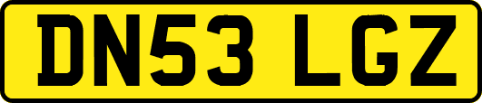 DN53LGZ