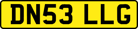 DN53LLG