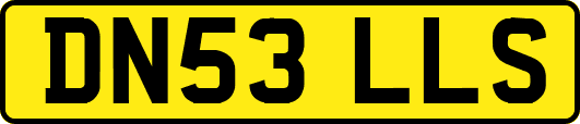 DN53LLS