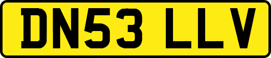 DN53LLV