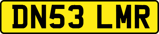 DN53LMR