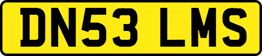 DN53LMS