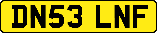 DN53LNF