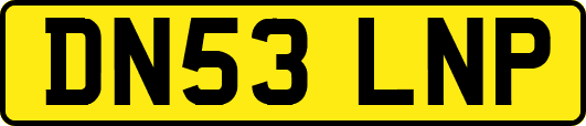 DN53LNP