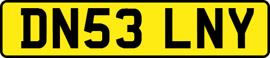 DN53LNY