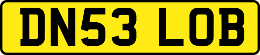 DN53LOB