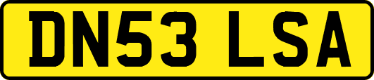 DN53LSA